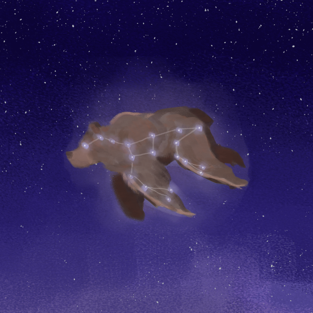 little bear left for winter post