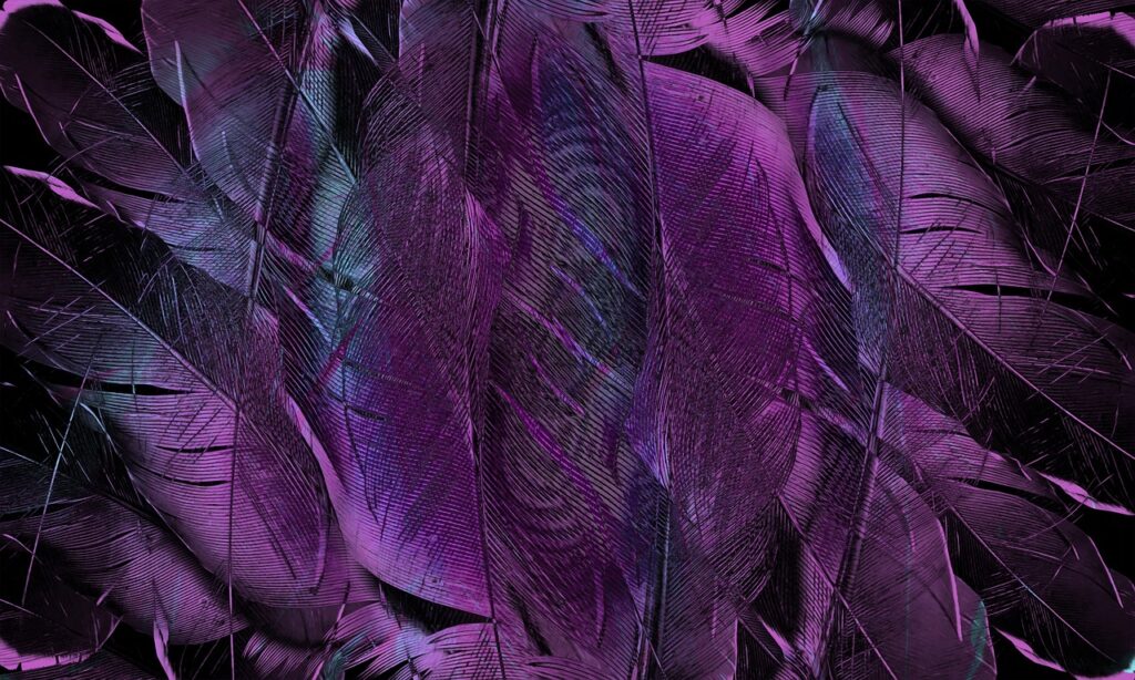 feather, pattern, texture, form, structure, art, decoration, decorative, purple, violet, pattern, texture, texture, texture, texture, art, art, purple, purple, purple, purple, purple