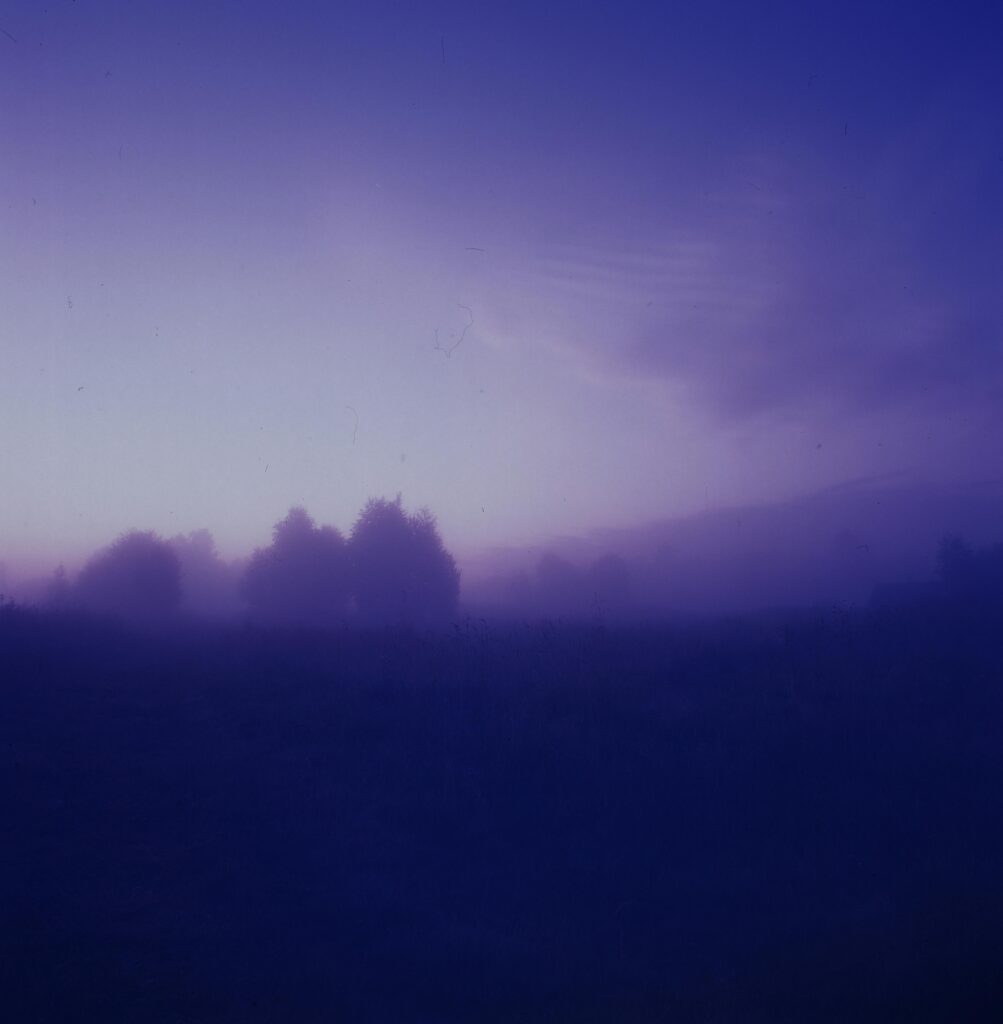 A dreamy purple mist envelops a serene landscape at twilight, creating a mystical atmosphere.